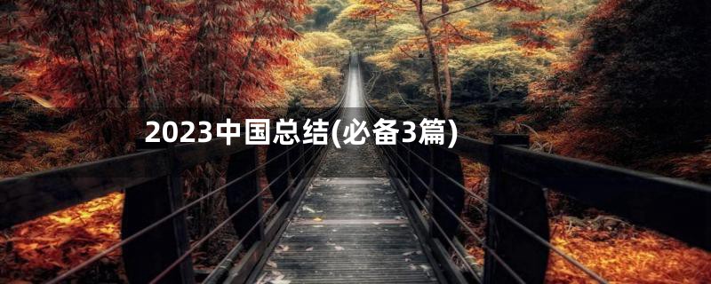 2023中国总结(必备3篇)