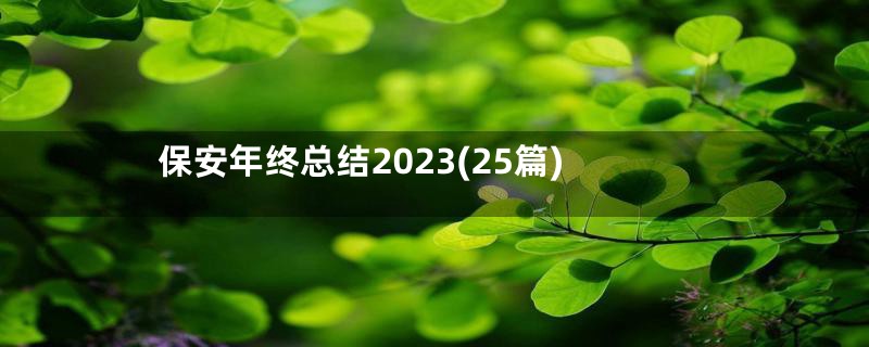保安年终总结2023(25篇)