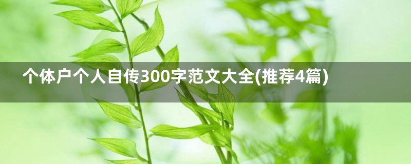 个体户个人自传300字范文大全(推荐4篇)