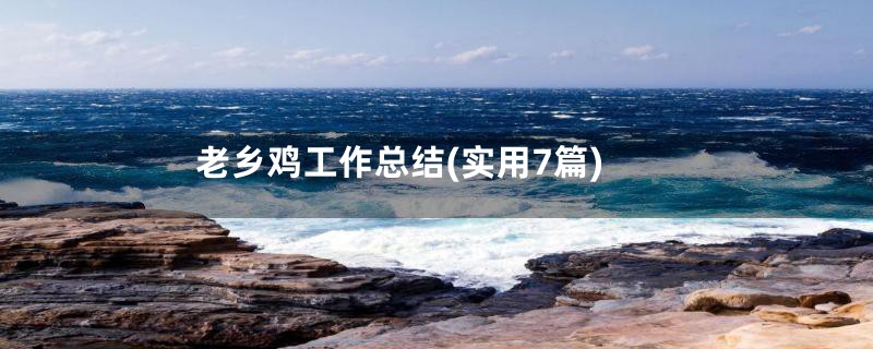 老乡鸡工作总结(实用7篇)