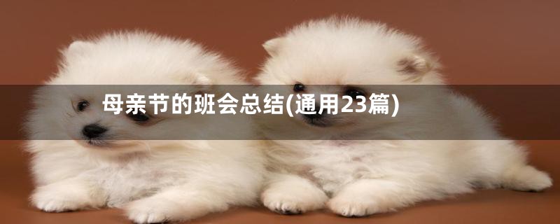 母亲节的班会总结(通用23篇)