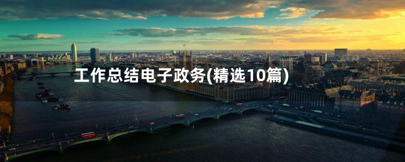 工作总结电子政务(精选10篇)