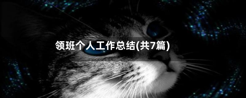 领班个人工作总结(共7篇)