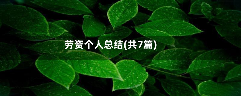 劳资个人总结(共7篇)