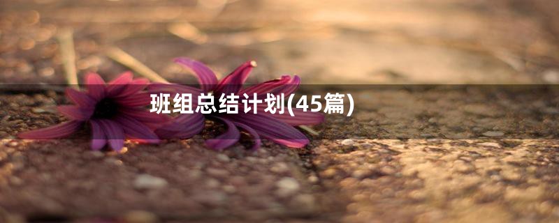 班组总结计划(45篇)
