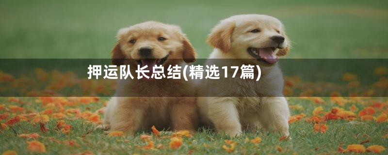 押运队长总结(精选17篇)