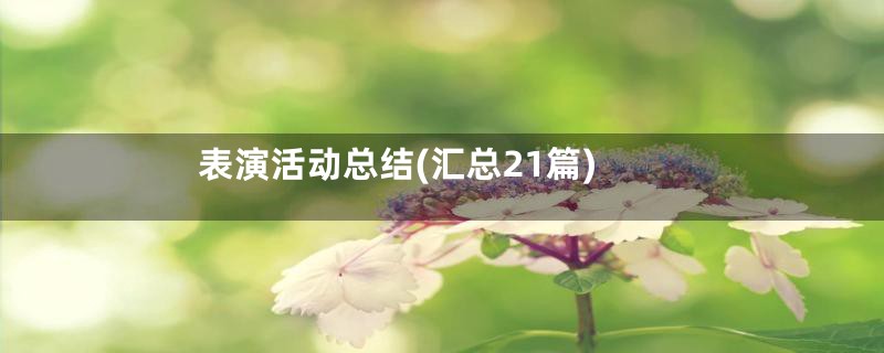 表演活动总结(汇总21篇)
