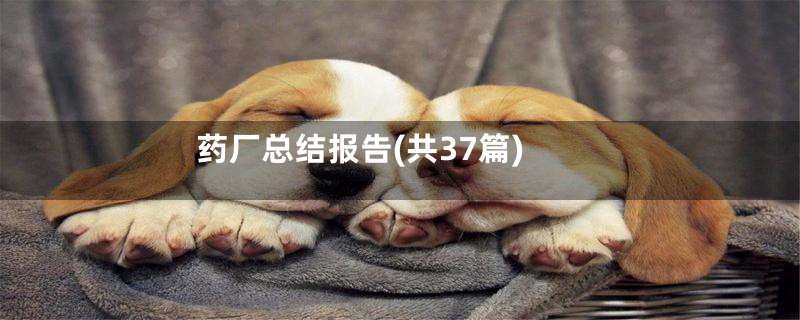药厂总结报告(共37篇)
