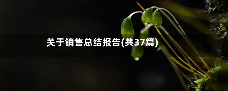 关于销售总结报告(共37篇)