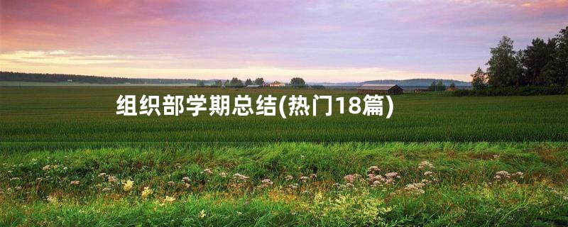 组织部学期总结(热门18篇)