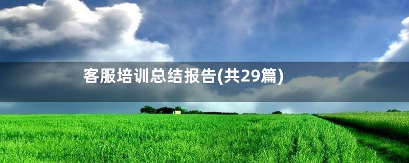 客服培训总结报告(共29篇)