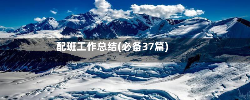 配班工作总结(必备37篇)