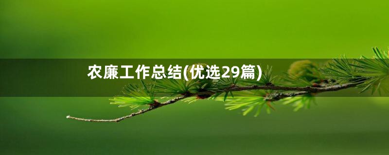 农廉工作总结(优选29篇)