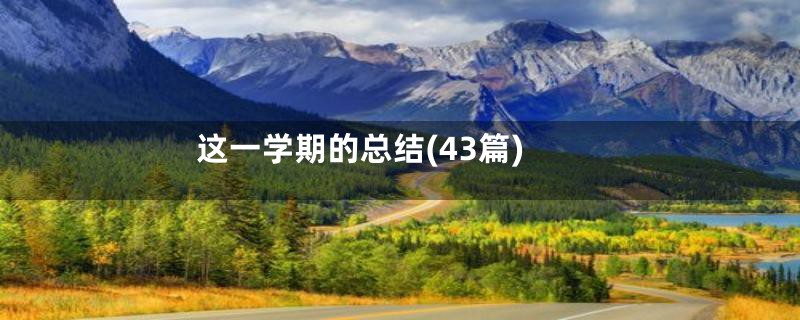 这一学期的总结(43篇)