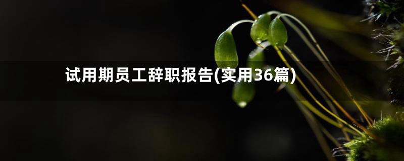 试用期员工辞职报告(实用36篇)