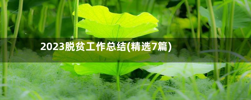 2023脱贫工作总结(精选7篇)