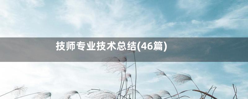 技师专业技术总结(46篇)