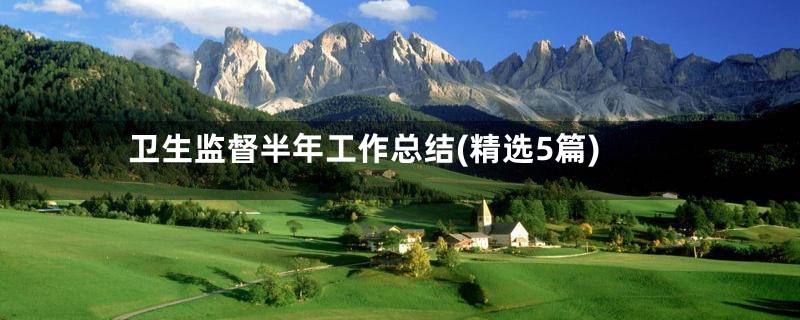 卫生监督半年工作总结(精选5篇)