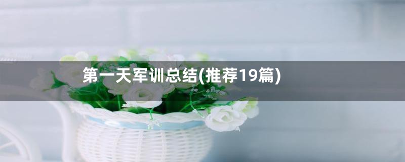 第一天军训总结(推荐19篇)