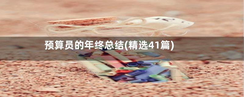 预算员的年终总结(精选41篇)