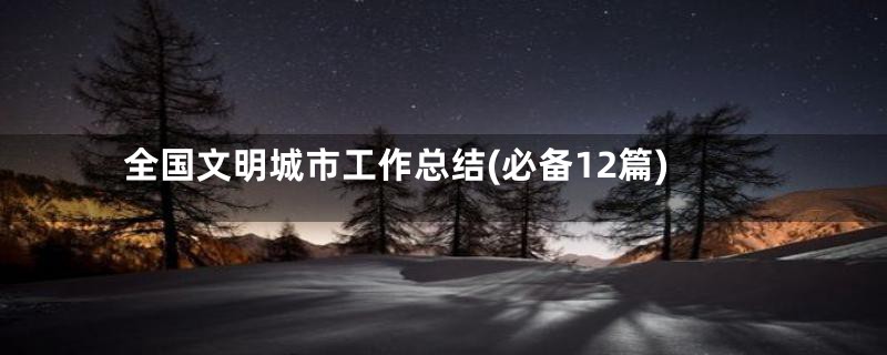 全国文明城市工作总结(必备12篇)