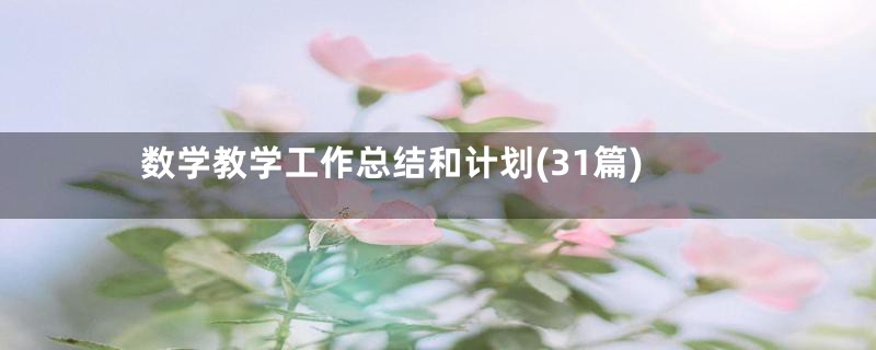 数学教学工作总结和计划(31篇)
