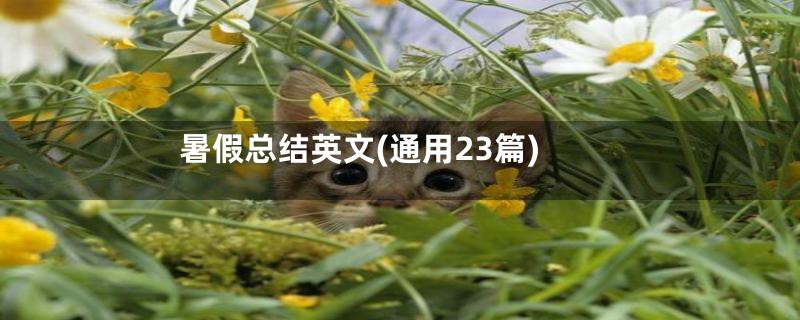 暑假总结英文(通用23篇)