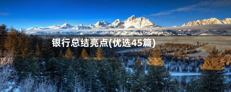银行总结亮点(优选45篇)