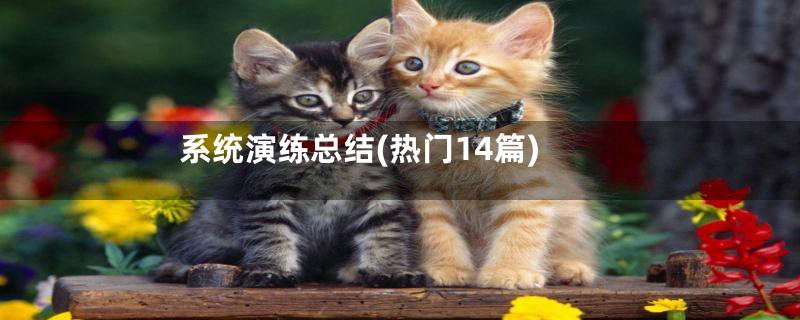 系统演练总结(热门14篇)