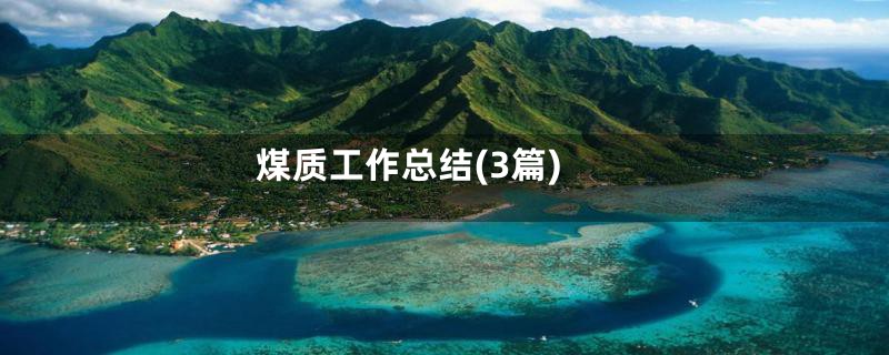 煤质工作总结(3篇)