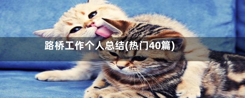 路桥工作个人总结(热门40篇)