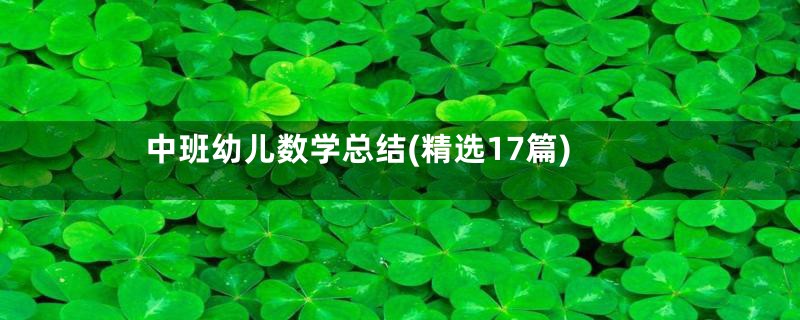 中班幼儿数学总结(精选17篇)