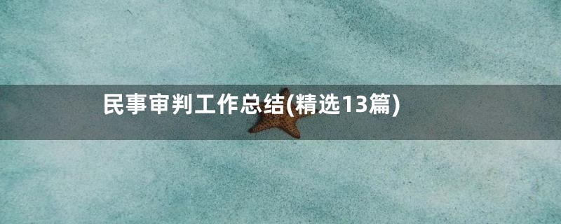 民事审判工作总结(精选13篇)