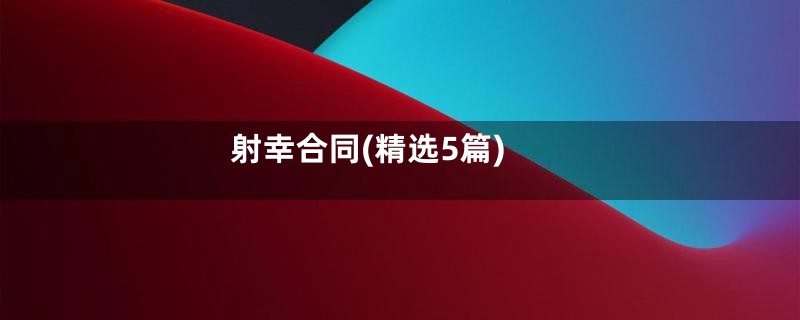 射幸合同(精选5篇)