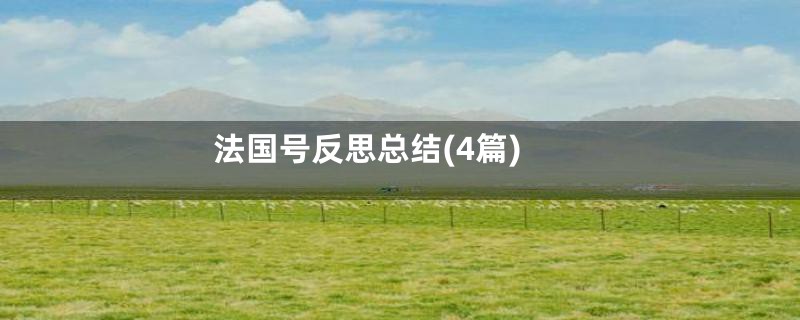 法国号反思总结(4篇)