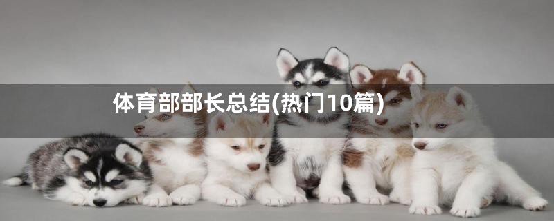 体育部部长总结(热门10篇)