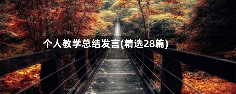 个人教学总结发言(精选28篇)
