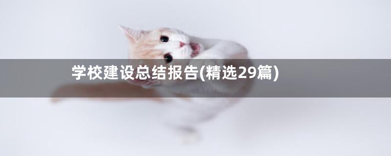 学校建设总结报告(精选29篇)