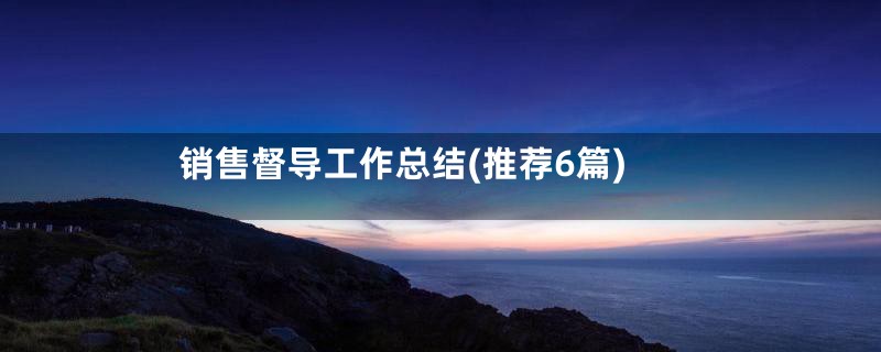 销售督导工作总结(推荐6篇)