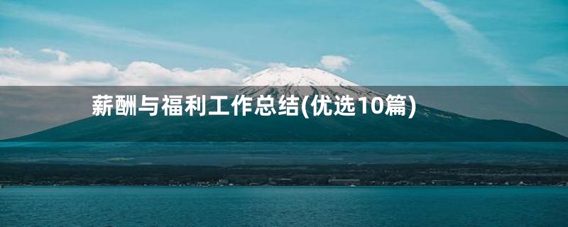 薪酬与福利工作总结(优选10篇)