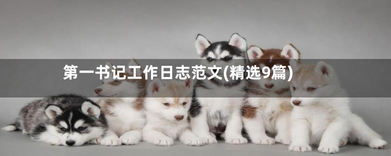 第一书记工作日志范文(精选9篇)