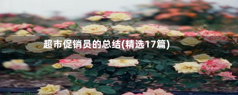 超市促销员的总结(精选17篇)