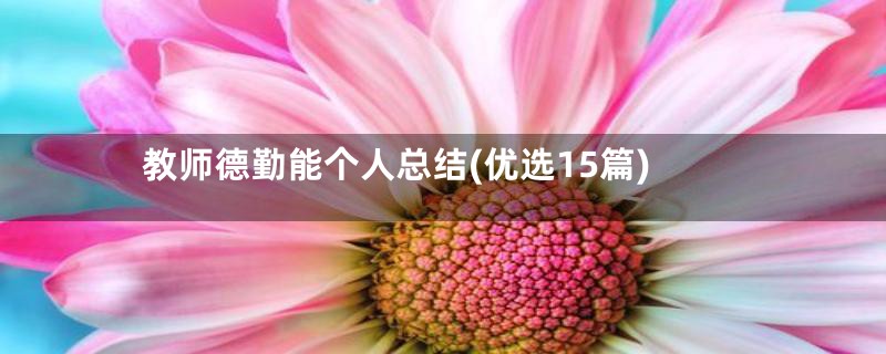 教师德勤能个人总结(优选15篇)