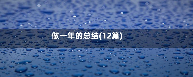 做一年的总结(12篇)