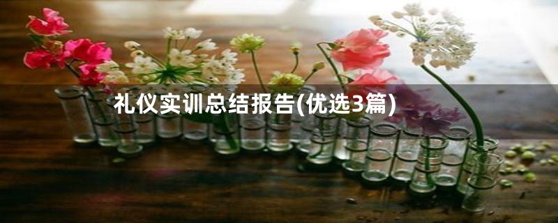 礼仪实训总结报告(优选3篇)
