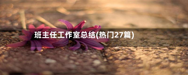 班主任工作室总结(热门27篇)