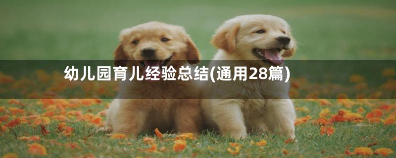 幼儿园育儿经验总结(通用28篇)