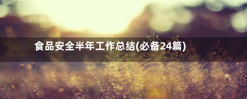 食品安全半年工作总结(必备24篇)