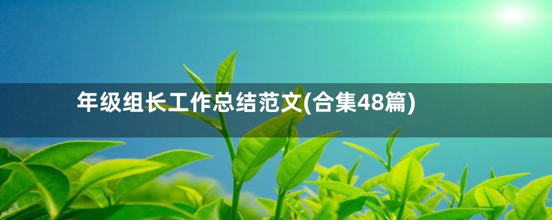 年级组长工作总结范文(合集48篇)
