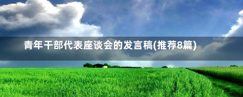青年干部代表座谈会的发言稿(推荐8篇)